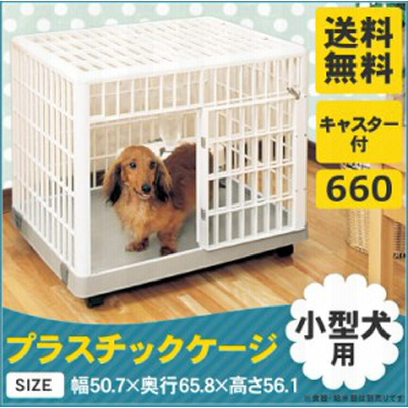 すずめ ワーディアンケース 財産 犬 ゲージ 安い Vedomydotek Net