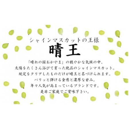 ふるさと納税 岡山県産シャインマスカット晴王　大房１房 岡山県備前市