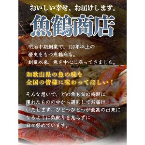 ふるさと納税 G7017_和歌山魚鶴仕込の 魚 切身 詰め合わせ 3種8枚 セット 和歌山県湯浅町