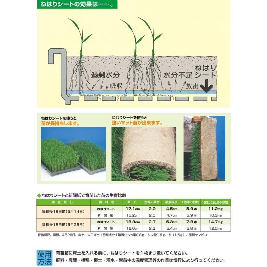 根の張りが良くなる 20枚 ねはりシート 使い捨てタイプ 健苗シート 育苗箱専用 敷紙 育苗箱 苗箱 紙 シート 下敷き 保水 育苗 水稲 稲苗 稲作 啓文社 オKZ