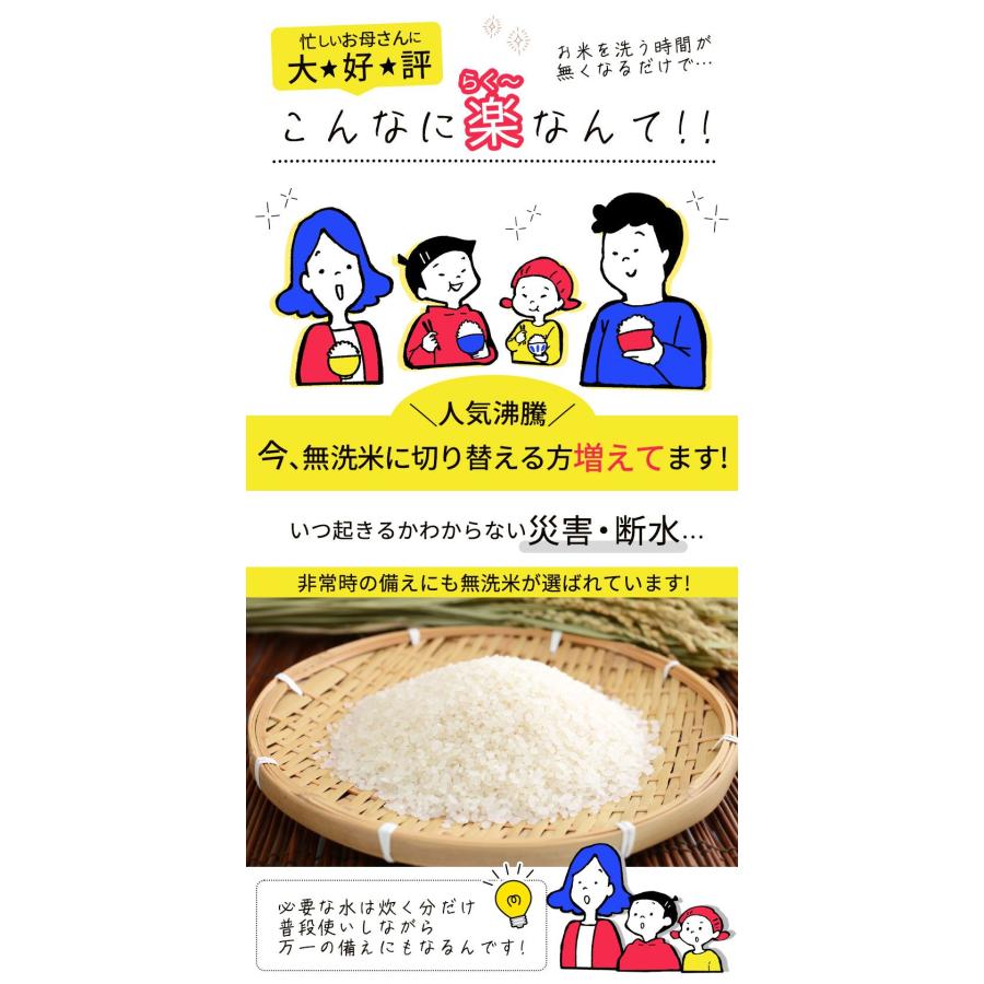 米 10kg 送料無料 無洗米 5kg ×2袋 お米 国産 白米 令和4年産 ブランド米 6割使用 ふるさと無洗米 熊本 7-14営業以内発送予定(土日祝除)