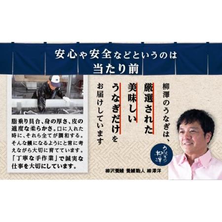 ふるさと納税 うなぎの柳澤　うなぎ蒲焼4尾（計680g） 鹿児島県大崎町