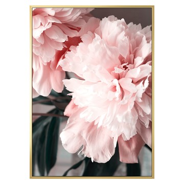 花開富貴 牡丹 I 金色  50 x 70cm