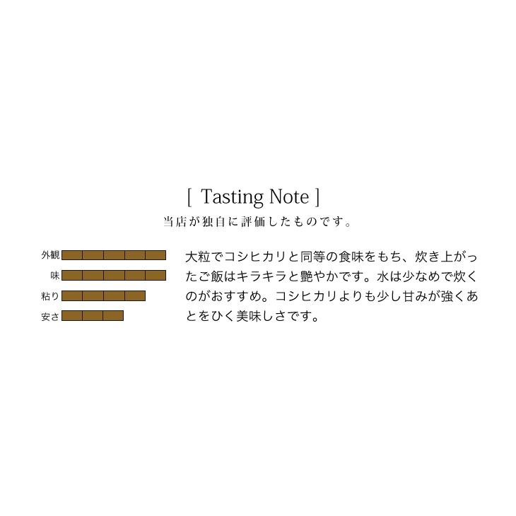 米 5kg お米 にじのきらめき 送料無料 令和5年 新米 栃木県産（北海道・ 九州 300円）