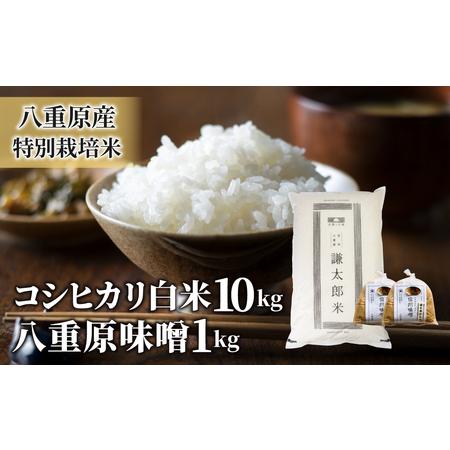 ふるさと納税 八重原産特別栽培米（減農薬・減化学肥料栽培）コシヒカリ（白米）１０kgと信州味噌「八重原味噌」１kgのセット 長野県東御市