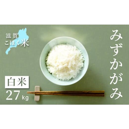 ふるさと納税 滋賀県 長浜市 令和5年 滋賀県湖北産 湖北のみずかがみ 27kg(白米)