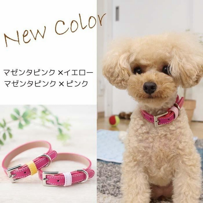 犬 首輪 犬首輪 犬の首輪 おしゃれ かわいい ブランド 迷子札 中型犬 小型犬 小型犬用 超小型犬 いぬ くびわ 革 レザー 皮 軽い 柴犬 チワワ Otm 3 通販 Lineポイント最大get Lineショッピング