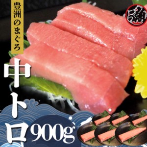 中とろ　900g 特上  お刺身 トロ　 メバチ マグロ まぐろ 天然 国産