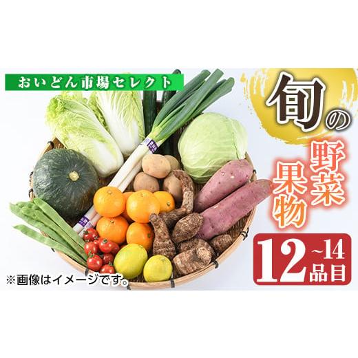 ふるさと納税 鹿児島県 長島町 おいどん市場セレクト 旬の野菜・果物セット！ keizai-913