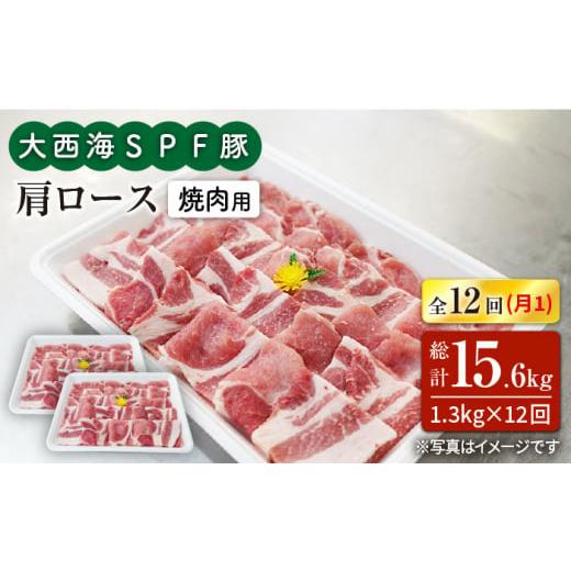 ふるさと納税 長崎県 西海市 大西海SPF豚 肩ロース（焼肉用）計15.6kg＜大西海ファーム＞ [CEK125]