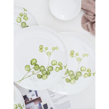 原創 果盤子菜盤家用面碗碟組合餐具套餐野生植物C款湯碗家用大號