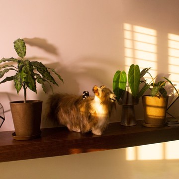 新年送禮【KAHU守護者・娃娃系列】寵物娃娃訂製/情人節