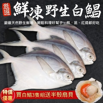 【海陸管家】鮮嫩野生白鯧魚3尾(每尾220g-280g)贈扇貝