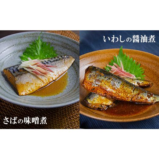 ふるさと納税 鹿児島県 鹿屋市 1245 創業40年の魚屋の惣菜詰合せ（さばの味噌煮・いわしの醤油煮）