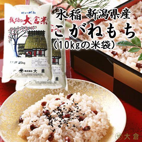 新潟県産こがねもち米（令和5年産）1kg 