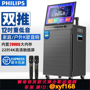 {可打統編 保固一年}飛利浦SD289A/289P 家庭KTV音響套裝點歌K歌一體機卡拉ok戶外音箱