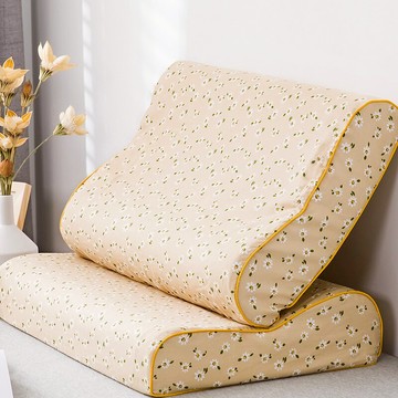 碎花乳膠枕套大人枕套一對裝60x40記憶枕頭枕套50x30純棉枕頭套