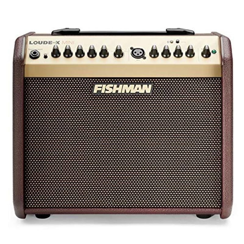 Fishman Loudbox Mini with Bluetooth