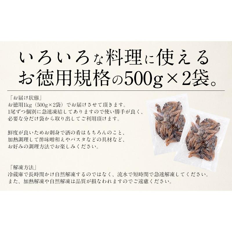 ホタルイカ 生食用 ほたるいか 1kg（500g×2袋） 冬グルメ 冬ギフト