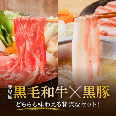 ふるさと納税 鹿児島市 黒牛×黒豚スライスセット900g