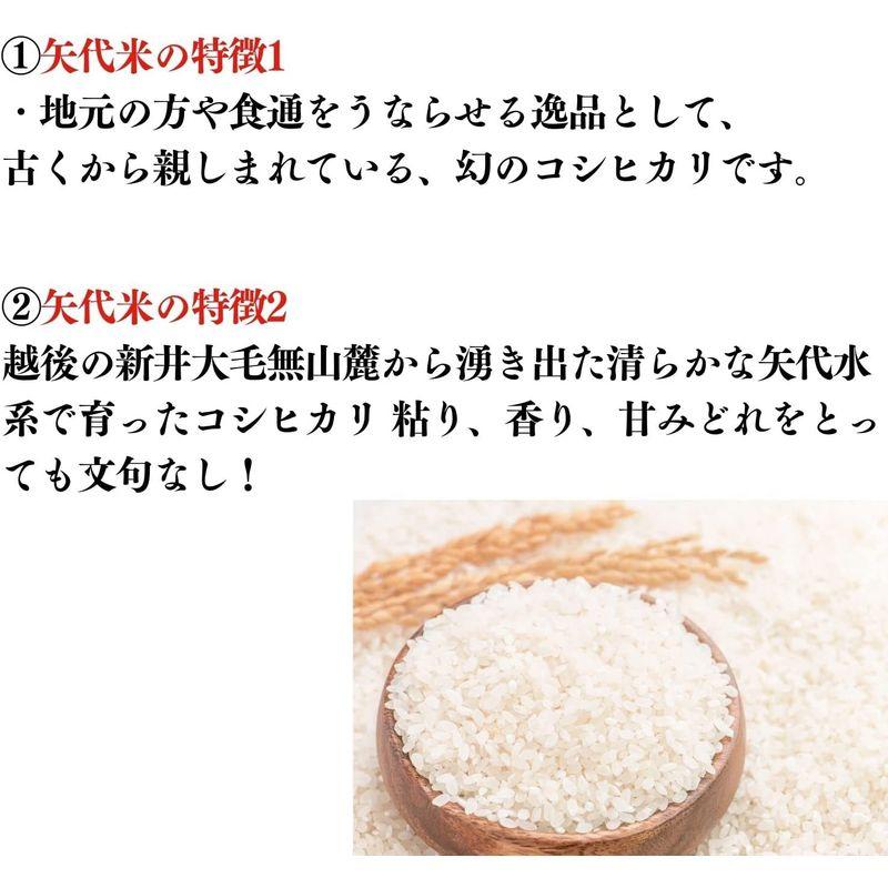 令和４年度産新米新潟こしひかり 矢代米(やしろまい) 精米 ５ｋｇ (2袋)