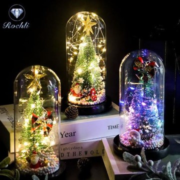 永生花玻璃罩玩偶款微景觀植物玫瑰金箔花燈圣誕裝飾用品擺件