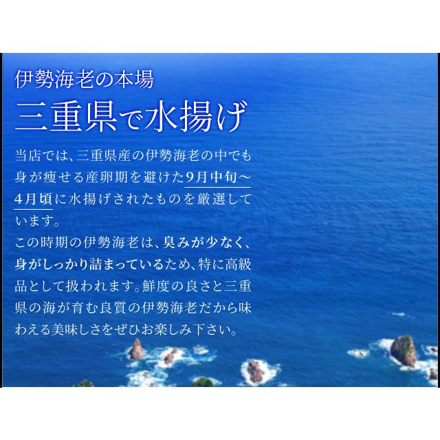 松阪牛 伊勢海老 詰合せ 美し国 三重 伊勢路 −極−ギフト パッケージ Ａ５ランク厳選 松阪牛 特選 すき焼き 肉 ３００ｇ 三重県産 伊勢海老 ２尾 詰合せ