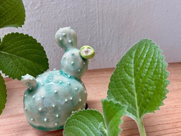 | Luna 陶偶系列 | 陶器 仙人掌 擺設