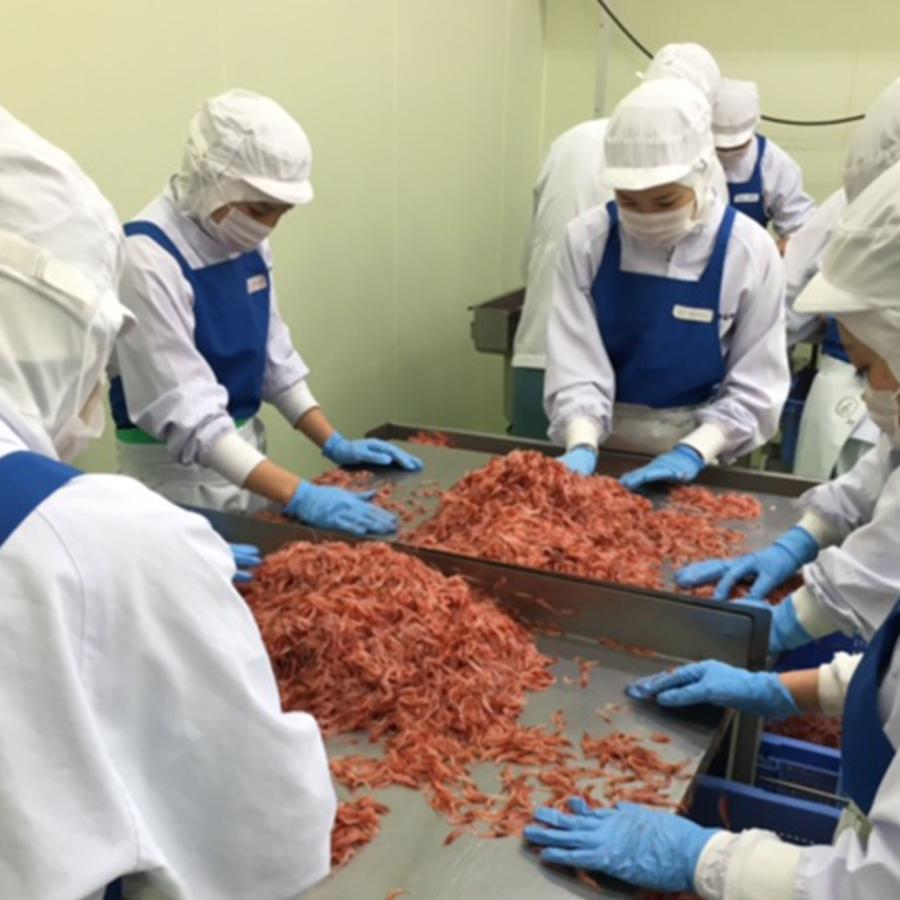 産地直送 桜えび 駿河湾 海老 エビ 釜揚げ 駿河湾産 30g×5パック 冷凍便 送料無料 同梱不可