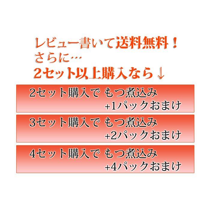 もつ煮込み お試し6Ｐセット 2セット以上購入でおまけ 国産豚の大腸を使用 大衆居酒屋 伝統の味 お酒のおつまみに最適 湯せん 鳥益