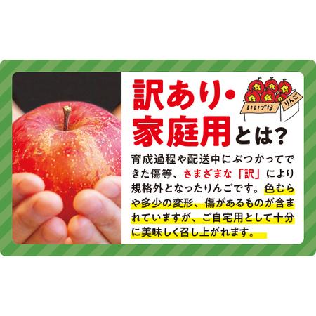 ふるさと納税 りんご サンふじ 家庭用 5kg 大友農場 エコファーマー認定 沖縄県への配送不可 2023年12月中旬頃から2024年1月下旬頃まで順次発送.. 長野県飯綱町