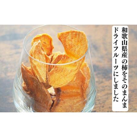 ふるさと納税 ドライフルーツ 柿チップ 1kg 50g × 20袋 和歌山県産 果物使用 自社製造  和歌山県有田川町