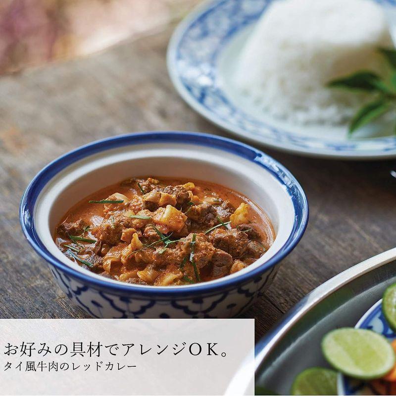 AYAM(アヤム) レッドカレー ペースト 100g (添加物不使用 ハラル認証取得)