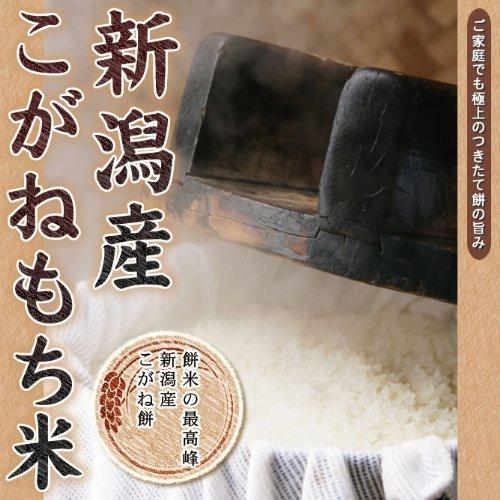 新潟県産 白米 こがねもち米 お試しセット (300g×3袋) 令和5年産