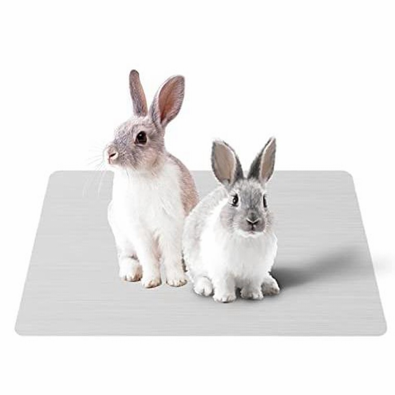 クラシック 2枚組 冷感 アルミプレート ひんやり クールマット ハムスター 小動物 ペット