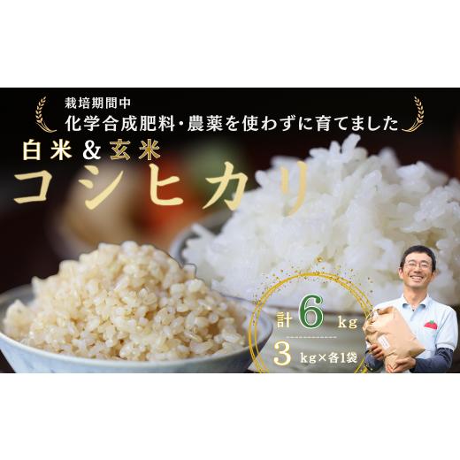 ふるさと納税 長野県 佐久穂町 炊きあがりのつやと香りが良く、うま味も強い　コシヒカリ　白米３キロ＋玄米３キロ　佐久穂とさや農園〔ST-W3B3-1〕