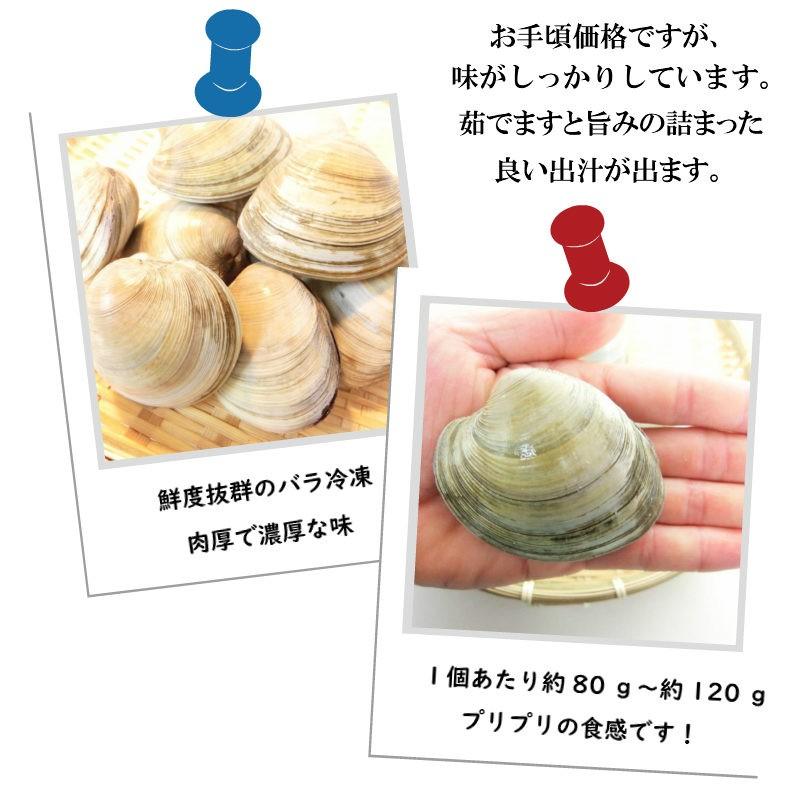 ホンビノス貝　大あさり  1kg 　鮮度抜群！ 大粒　蛤 （約９〜1２個入り）・ホンビノス貝・