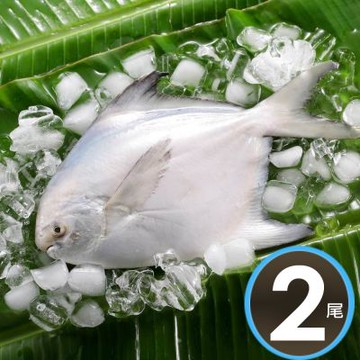 華得水產 鮮嫩野生白鯧魚2尾組(300-380g/尾)