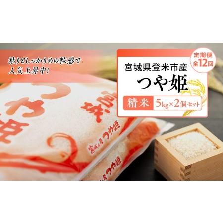 ふるさと納税 令和5年産宮城県登米市産つや姫精米　５kg×２個セット 宮城県登米市