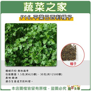 【蔬菜之家】F16.平葉巴西利種子 (共兩種包裝可選)