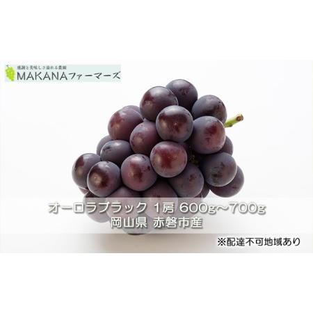 ふるさと納税 ぶどう 2024年 先行予約 オーロラ ブラック 1房 600g〜700g  大粒 種無し ブドウ 葡萄  岡山県 赤磐市産  国産 フルーツ 果物 ギフ.. 岡山県赤磐市