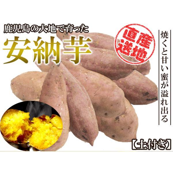 安納芋 5kg 送料無料 安納いも 安納イモ 産地直送 産直 土付き さつまいも さつま芋 薩摩芋 焼きいも 焼き芋 鹿児島県産 FJK-002