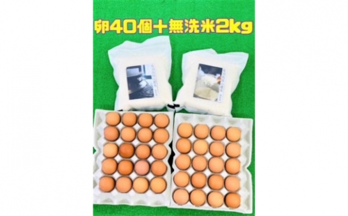 輝黄卵40個と無洗米2kgセットA