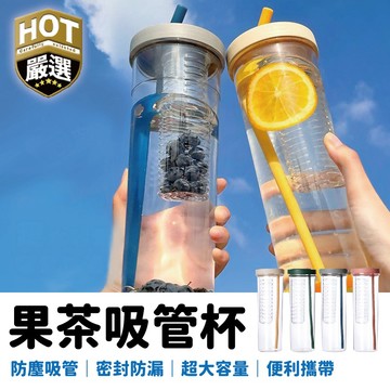 水果吸管杯 吸管隨身杯 吸管杯 果茶杯 果茶吸管杯 隨行杯 冷水壺 冷水杯 茶濾杯 馬卡龍隨身杯