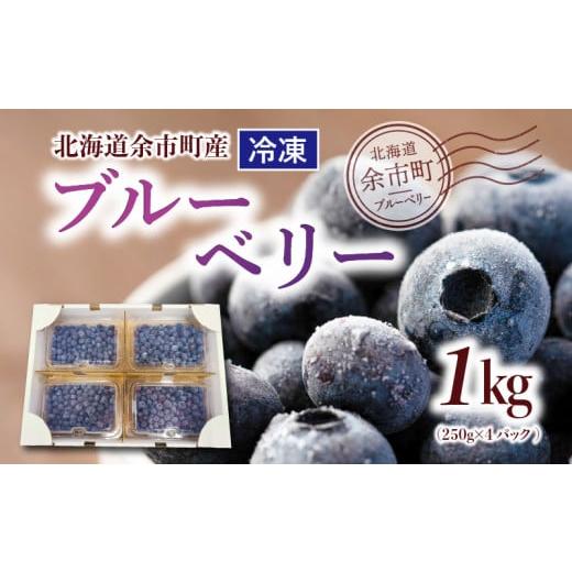 ふるさと納税 北海道 余市町 冷凍ブルーベリー 250g×4パック 北海道産　甘くてジューシー 余市産 ブルーベリー 250g × 4パック 合計 1kg 冷凍 …