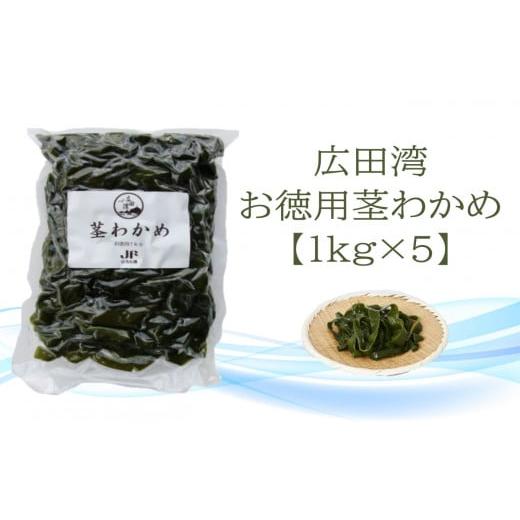 ふるさと納税 岩手県 陸前高田市 広田湾漁協からお届け！お徳用茎わかめ（１kg×5袋）