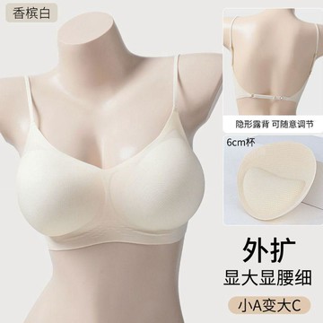 瘋搶預購🛍️美背內衣女2026新款隱形小胸顯大露背無痕外擴聚攏加厚6cm文胸罩6X5F