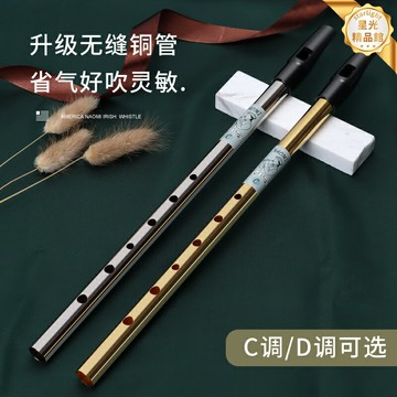 【新手入門首選】愛爾蘭哨笛 豎笛 直笛 樂器 六孔哨笛 高音哨笛 愛爾蘭風笛 愛爾蘭民謠樂器 專業C調D調可選 美國Naomi品牌 初學者練習演奏