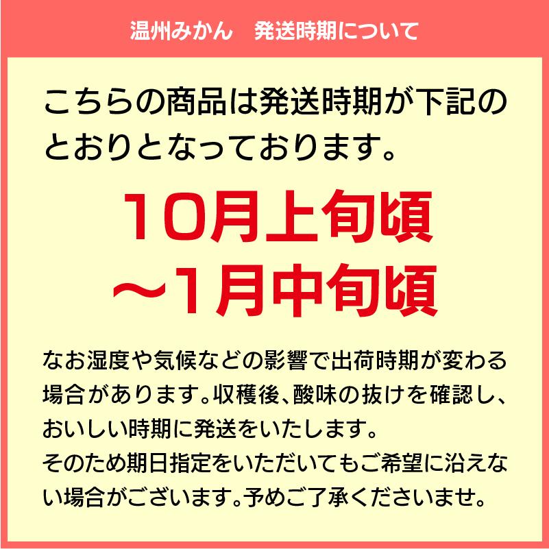 温州みかん家庭用訳あり3kg 温州 みかん ミカン 蜜柑 訳あり わけあり わけありみかん 温州みかん