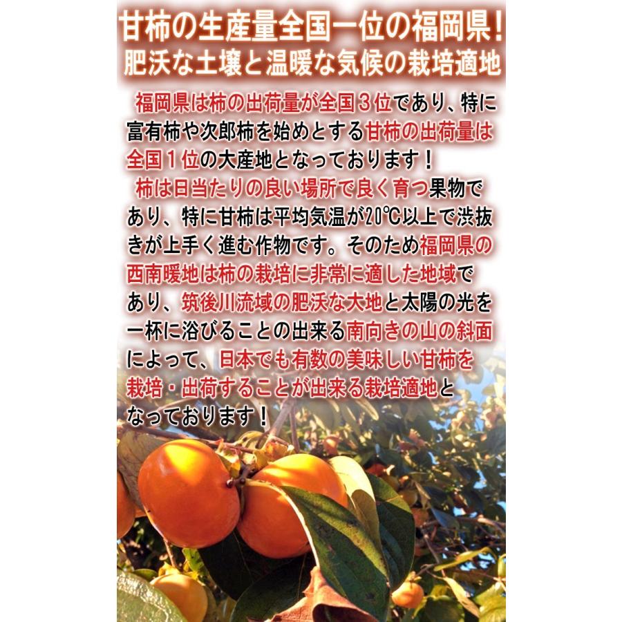 冷蔵熟成 富有柿 約3.75kg 10〜18玉 福岡県産 秀品 JA筑前あさくら JAにじ 贈答可能 甘柿の生産量日本一の福岡産！一玉ずつ包装した高品質な完全甘柿